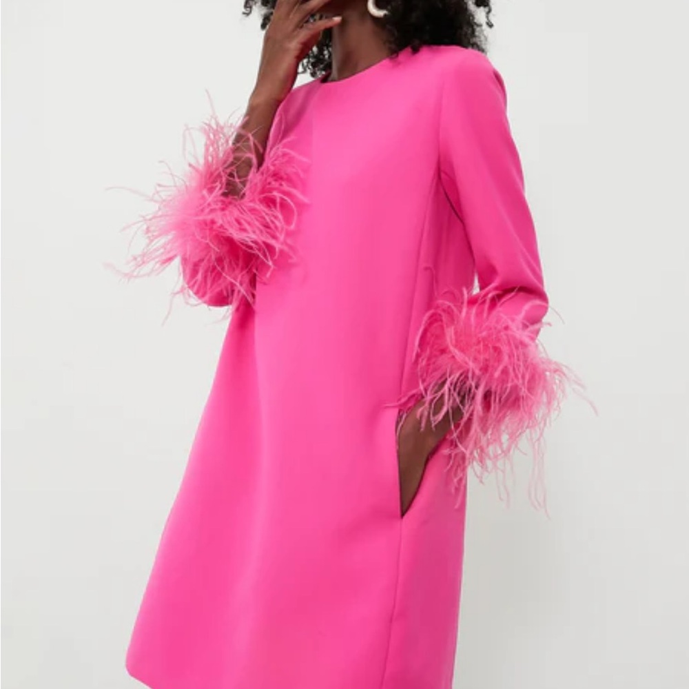 TUCKERNUCK
Hot Pink Feather Mod Mary Dress